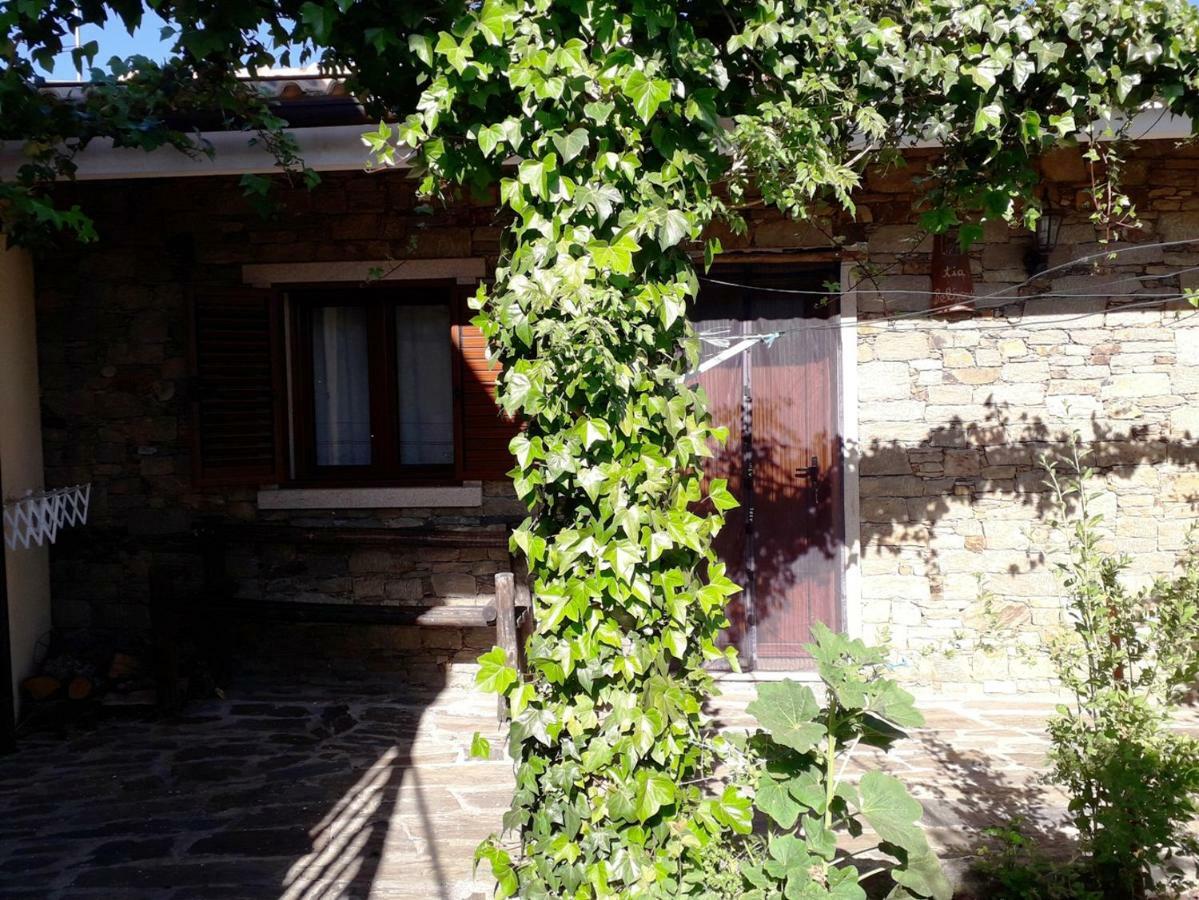 马塞杜-迪卡瓦莱鲁什Quinta Da Moagem别墅 客房 照片