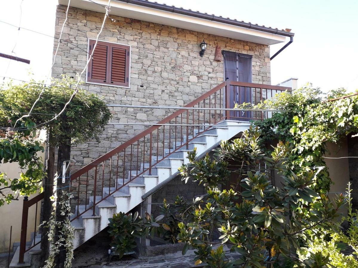马塞杜-迪卡瓦莱鲁什Quinta Da Moagem别墅 外观 照片