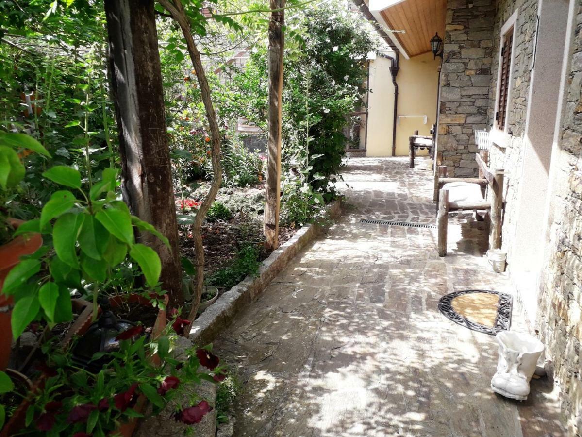 马塞杜-迪卡瓦莱鲁什Quinta Da Moagem别墅 外观 照片