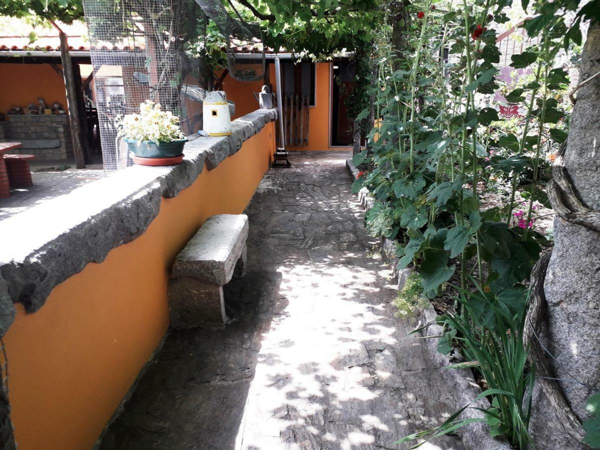 马塞杜-迪卡瓦莱鲁什Quinta Da Moagem别墅 外观 照片