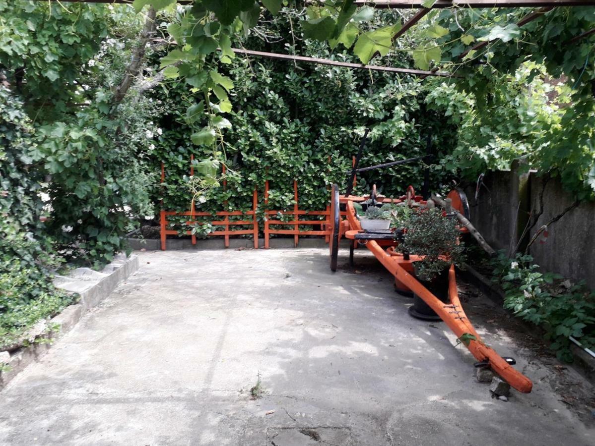 马塞杜-迪卡瓦莱鲁什Quinta Da Moagem别墅 外观 照片